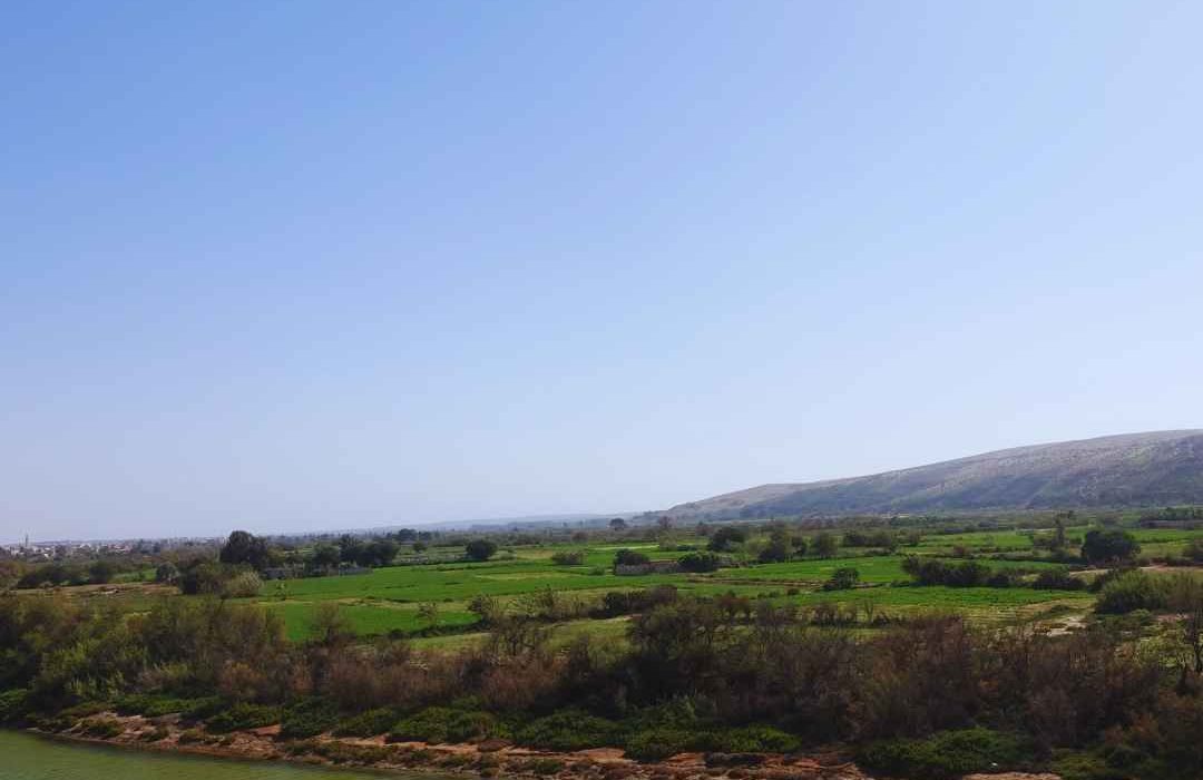 Auberge-House-Bella-Sidi-Binzarne-Massa-Nature