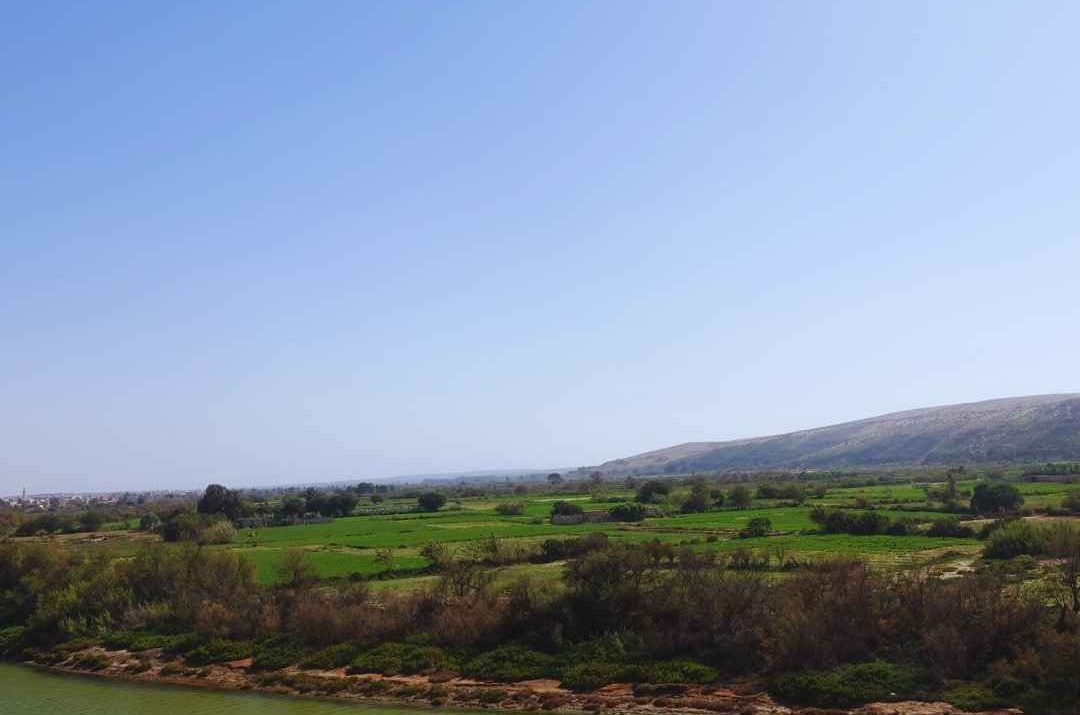 Top 5 Things to Do in Massa, Morocco: Nature, Culture & Hidden Gems Near Agadir