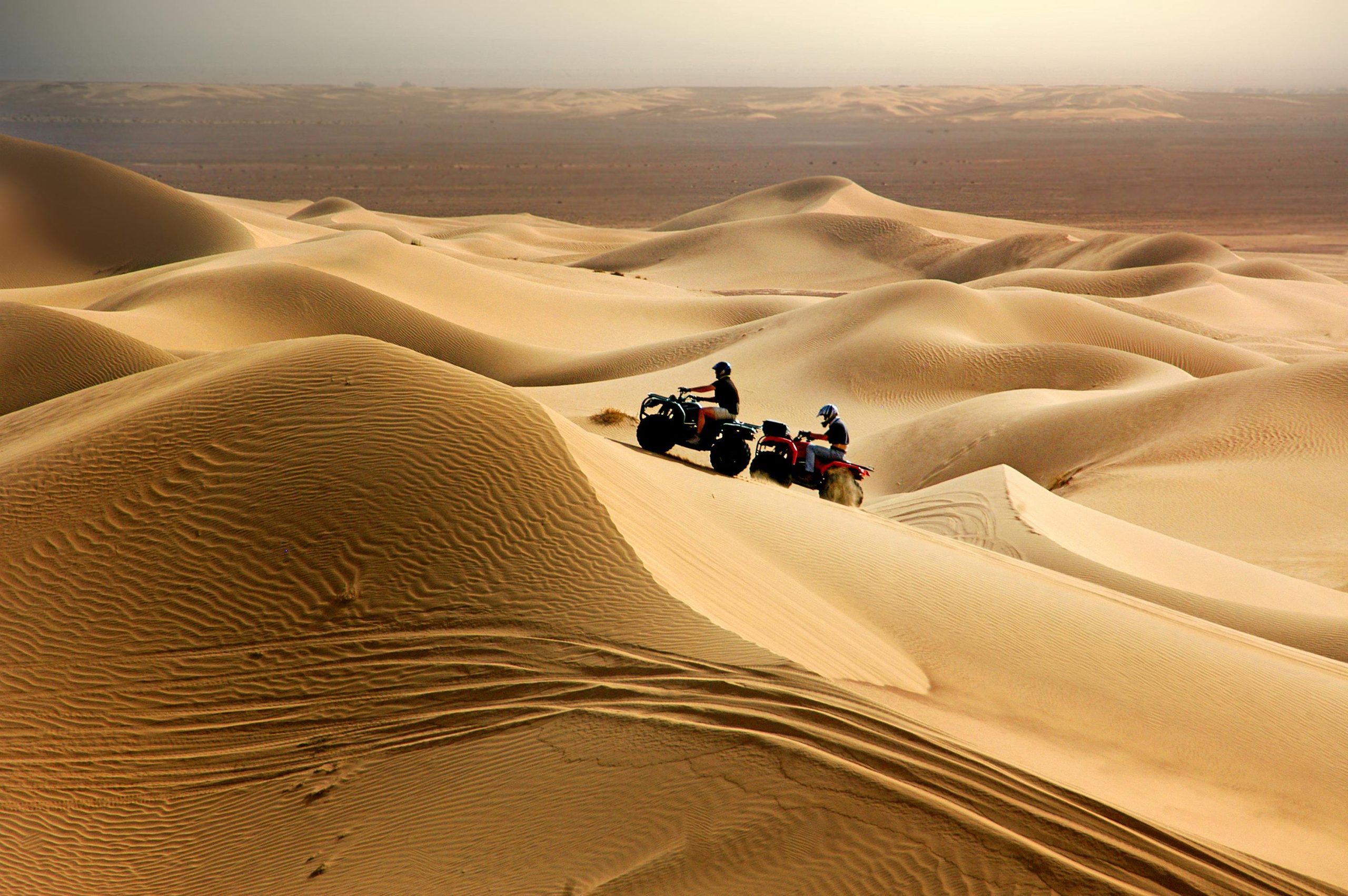 Thrill Through Nature Trails
